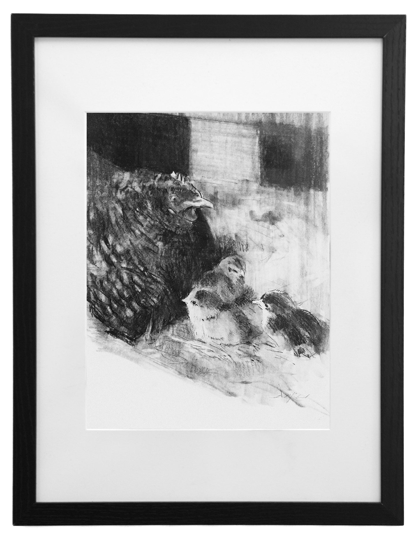 Mother Hen (charcoal)