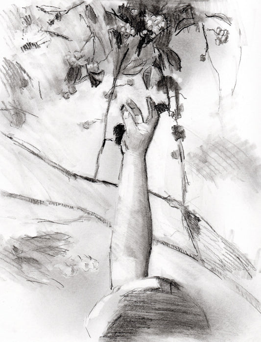 Blueberry Picker (Charcoal)