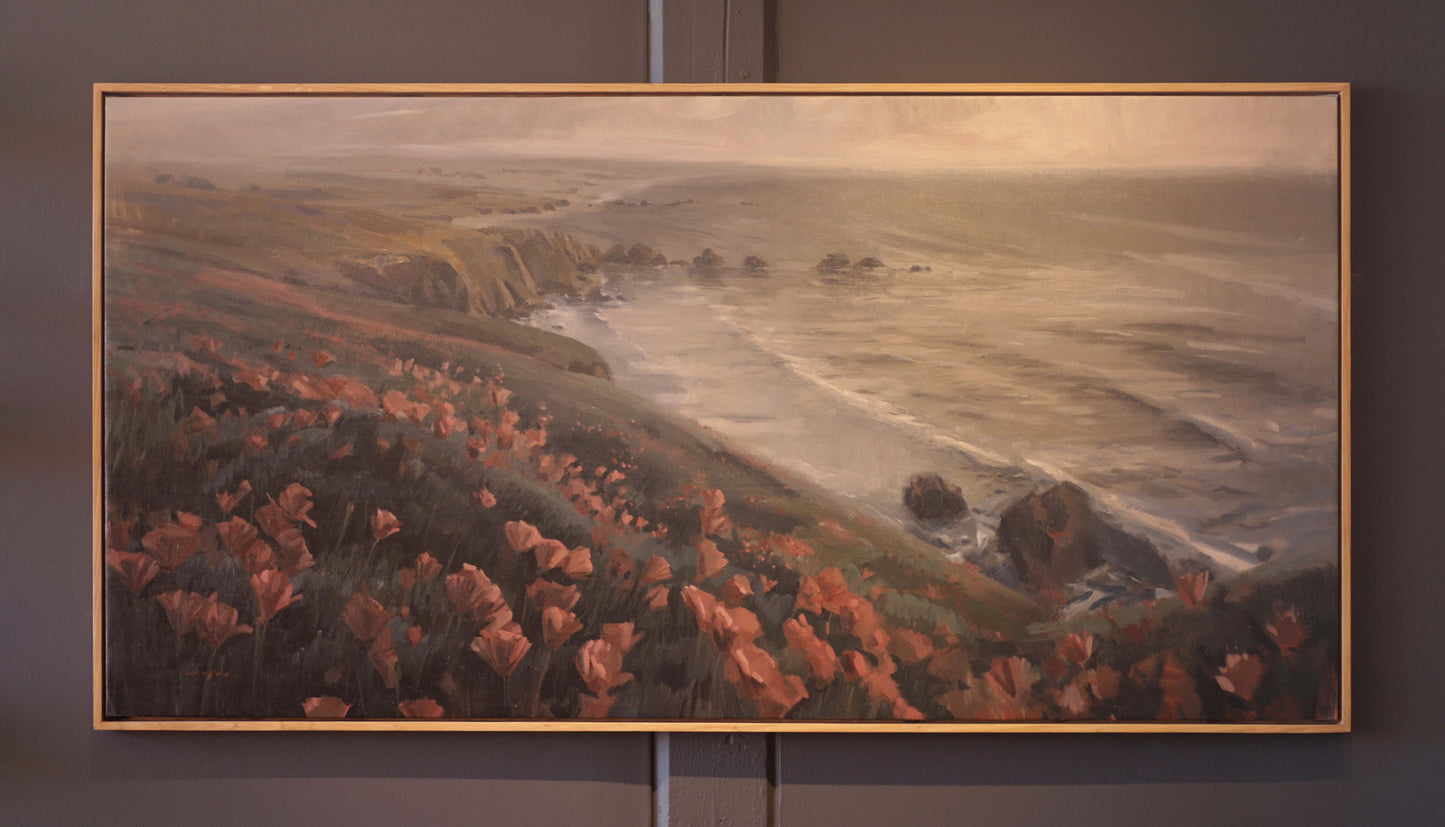 Coastal Poppies