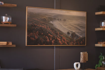 Coastal Poppies - Limited