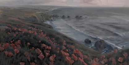 Coastal Poppies - Limited
